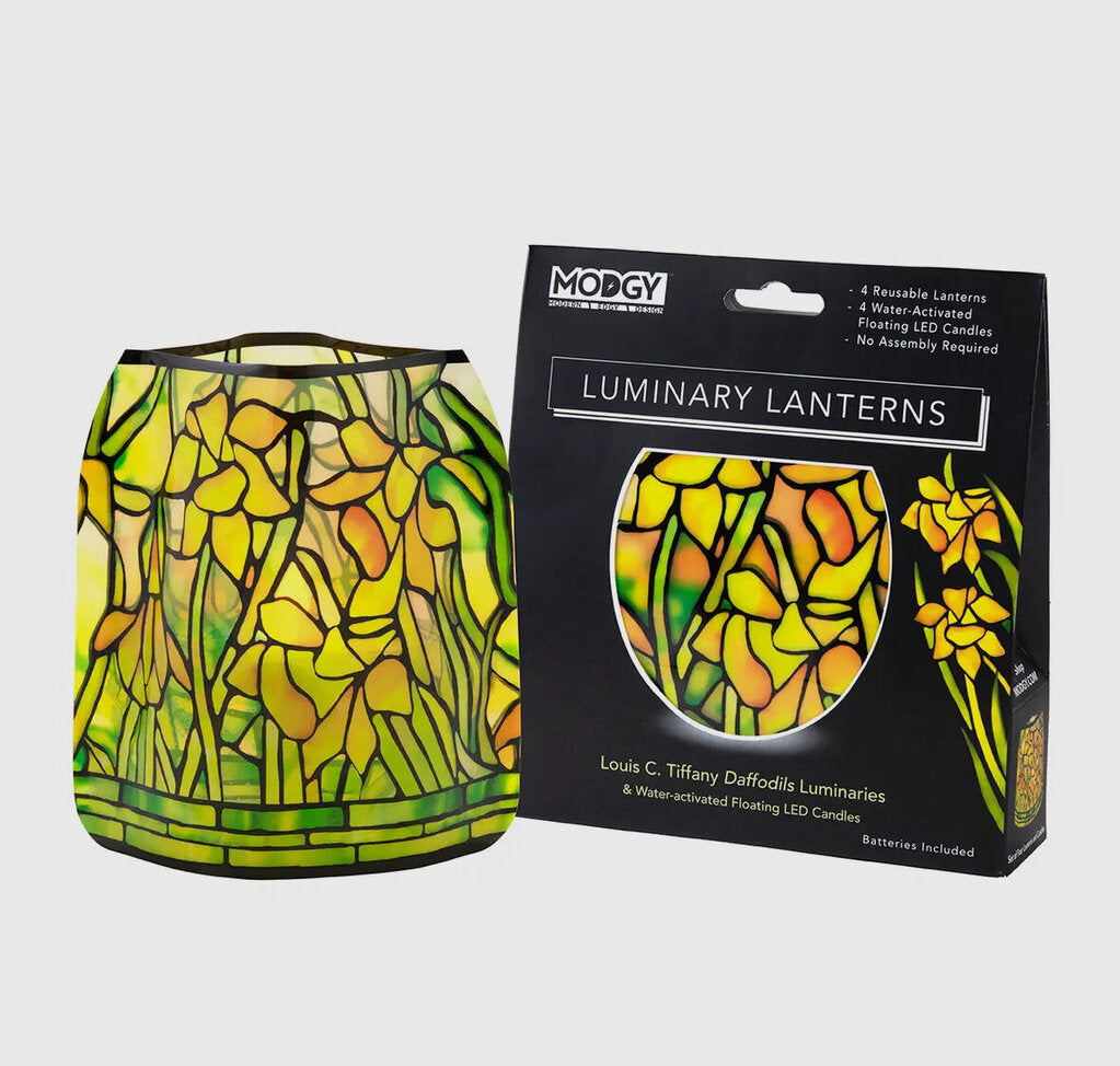 Daffodils Luminary