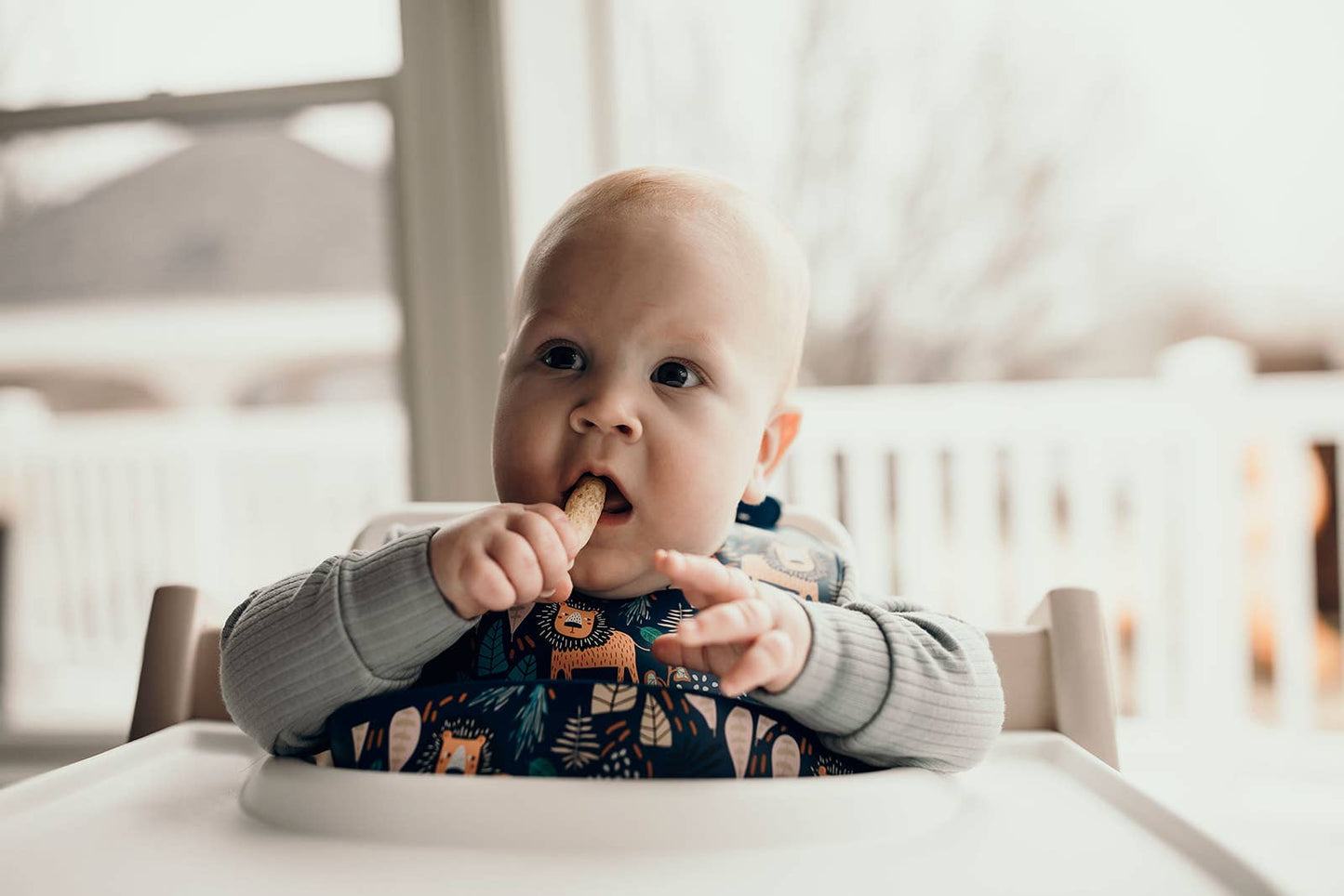 Three Little Tots - Zoo Lion Print Silicone Bib with Crumb Catcher