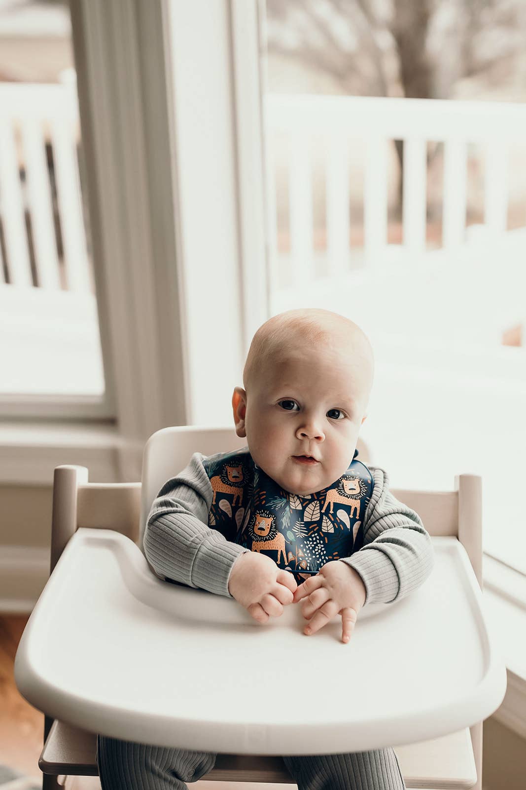 Three Little Tots - Zoo Lion Print Silicone Bib with Crumb Catcher