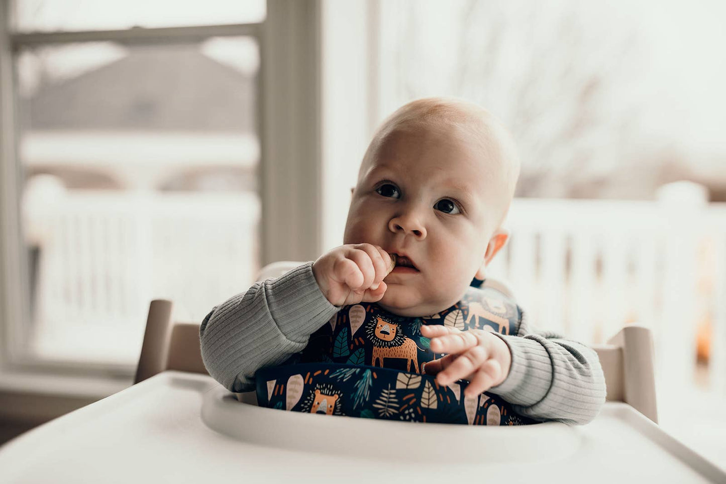Three Little Tots - Zoo Lion Print Silicone Bib with Crumb Catcher
