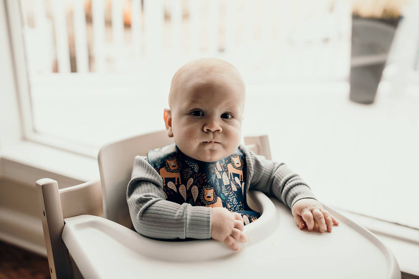 Three Little Tots - Zoo Lion Print Silicone Bib with Crumb Catcher