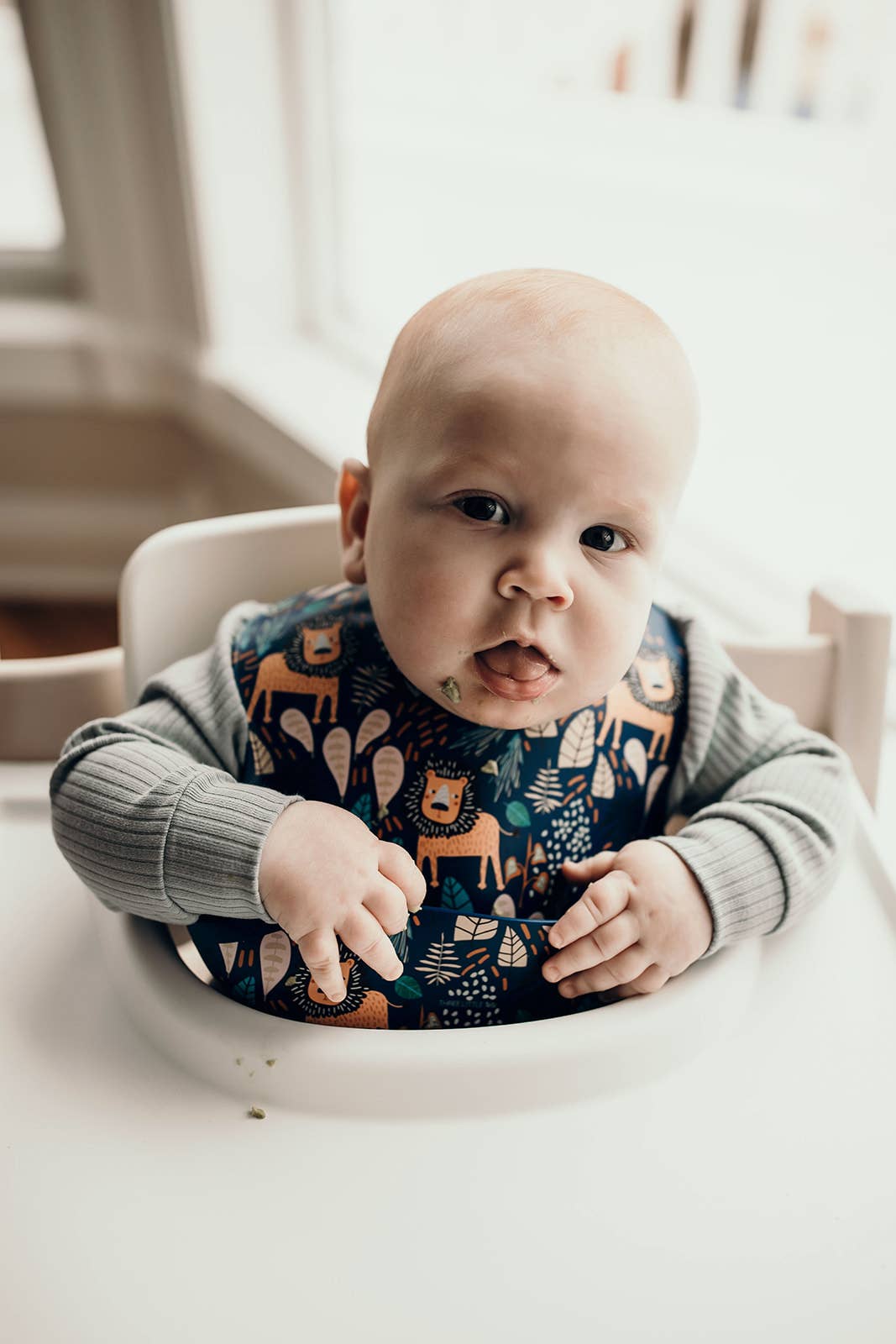 Three Little Tots - Zoo Lion Print Silicone Bib with Crumb Catcher