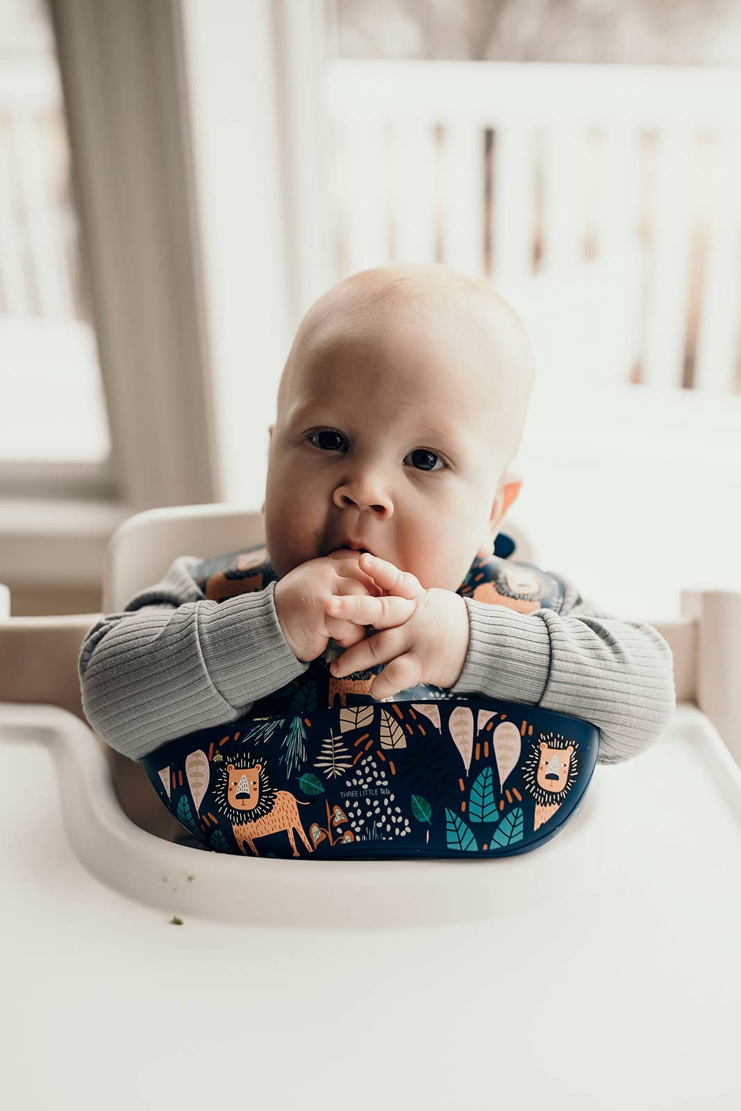 Three Little Tots - Zoo Lion Print Silicone Bib with Crumb Catcher