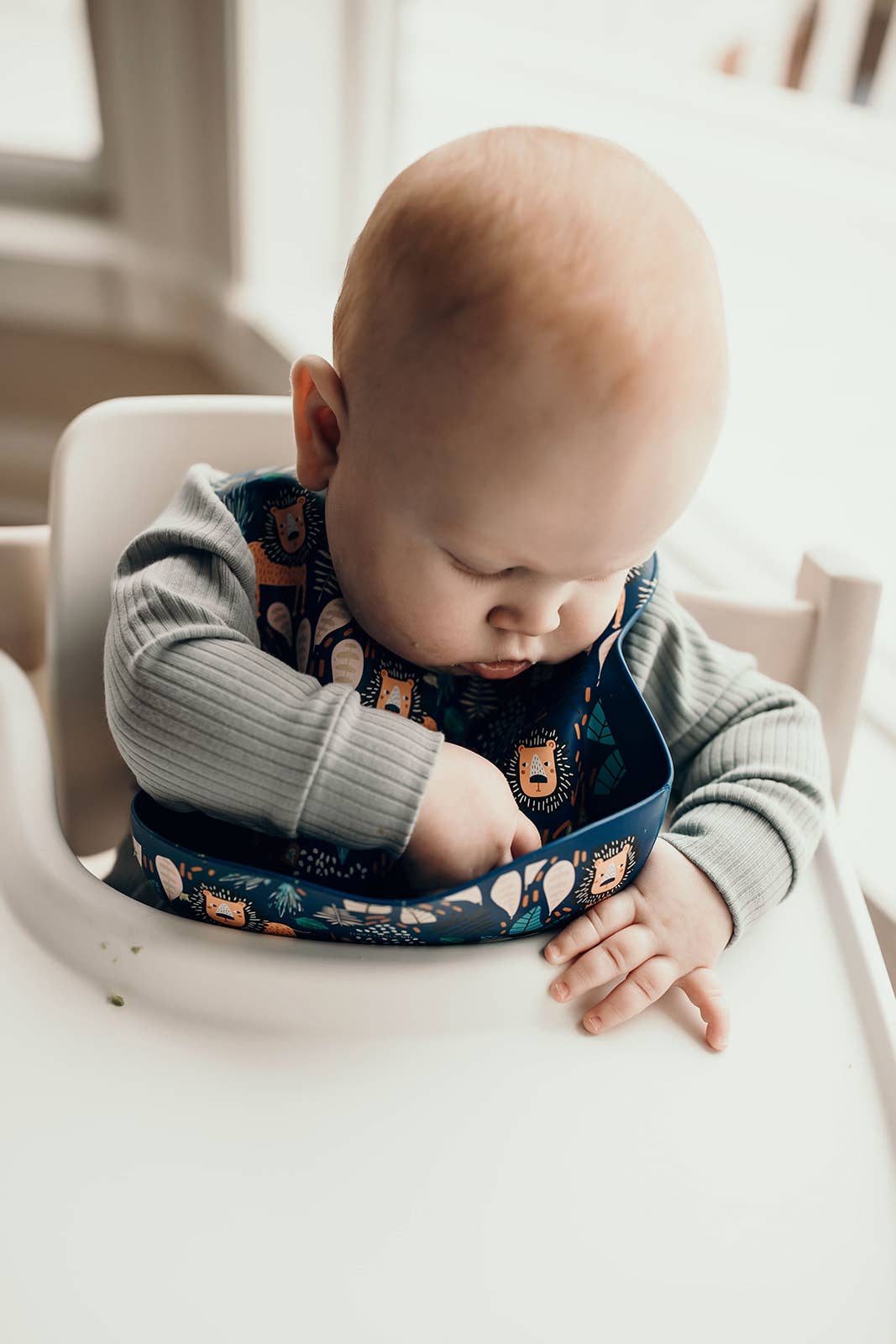 Three Little Tots - Zoo Lion Print Silicone Bib with Crumb Catcher