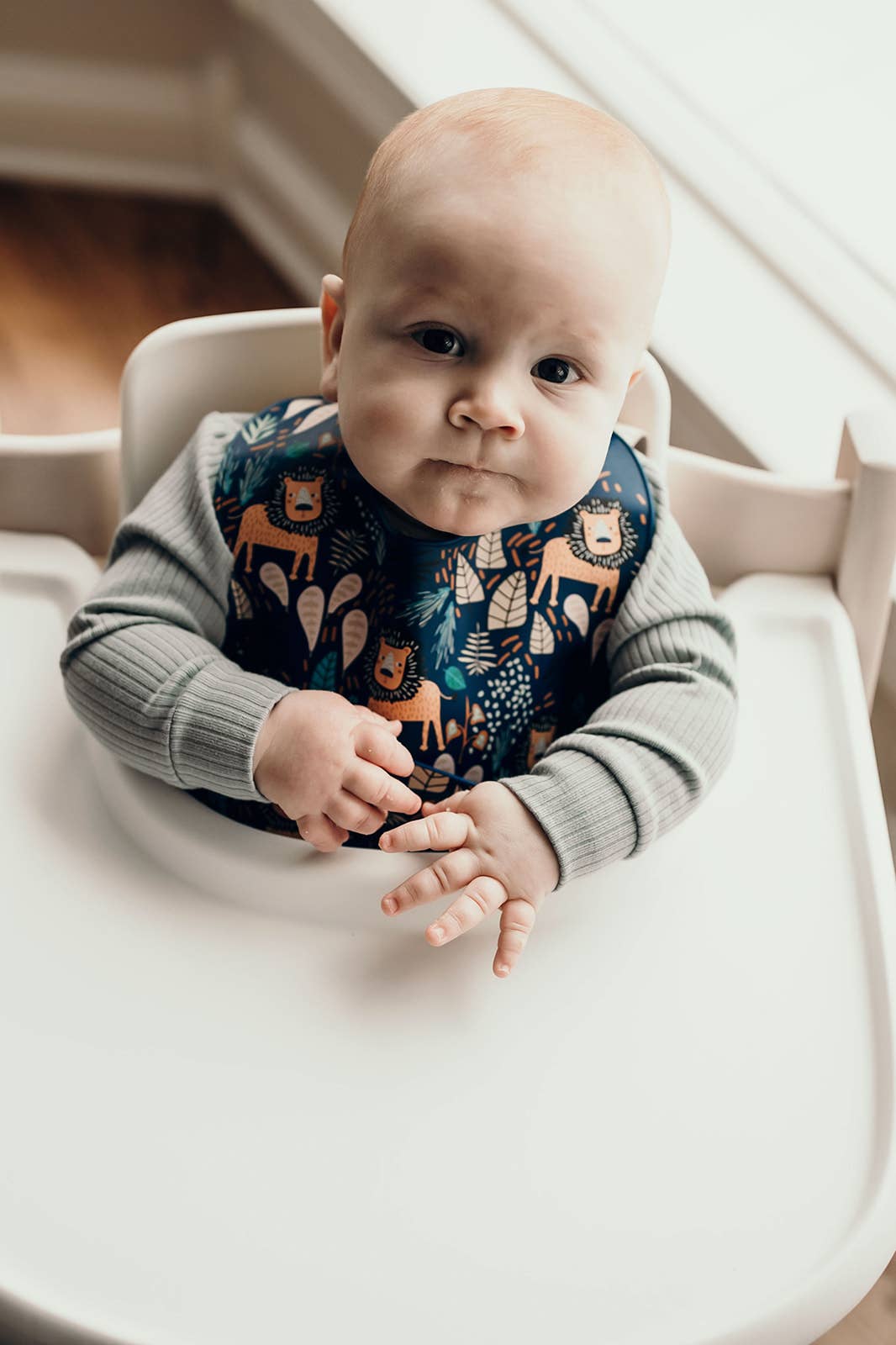 Three Little Tots - Zoo Lion Print Silicone Bib with Crumb Catcher