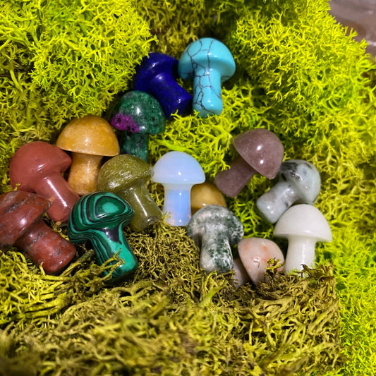 Wax Apothecary - 🍄 Crystal Mini Mushroom Stone Assortment 🍄