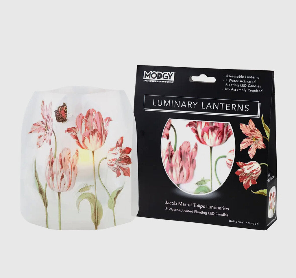 Luminary - Jacob Marrell Tulips