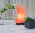 Himalayan Secrets - Moon Shape Salt Lamp 9" Tall