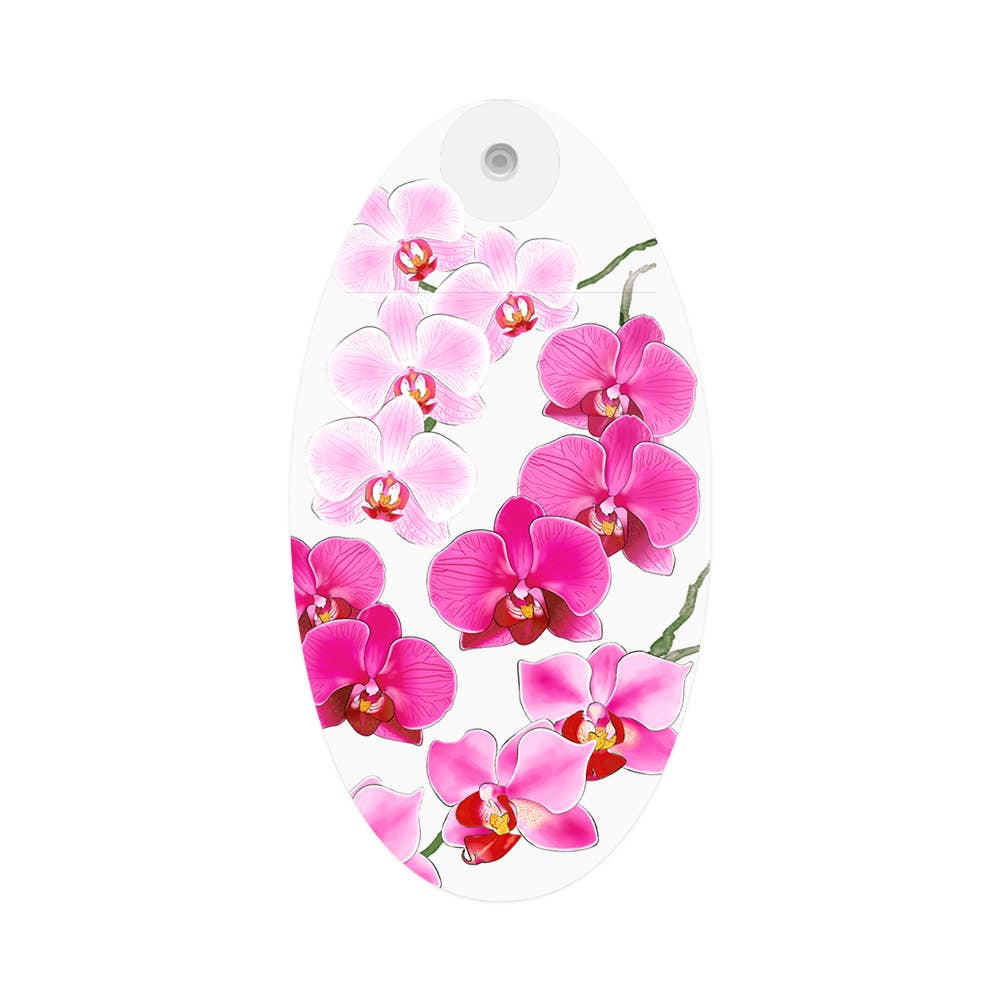 Modgy - Pink Orchid Oval Suction Cup Vase