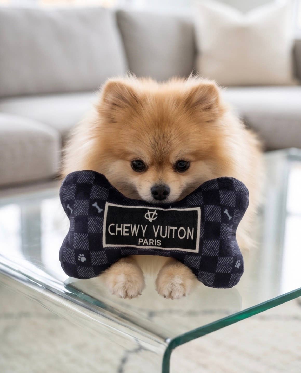 Haute Diggity Dog - Black Checker Chewy Vuiton Bone  | Squeaker Dog Toy: Small