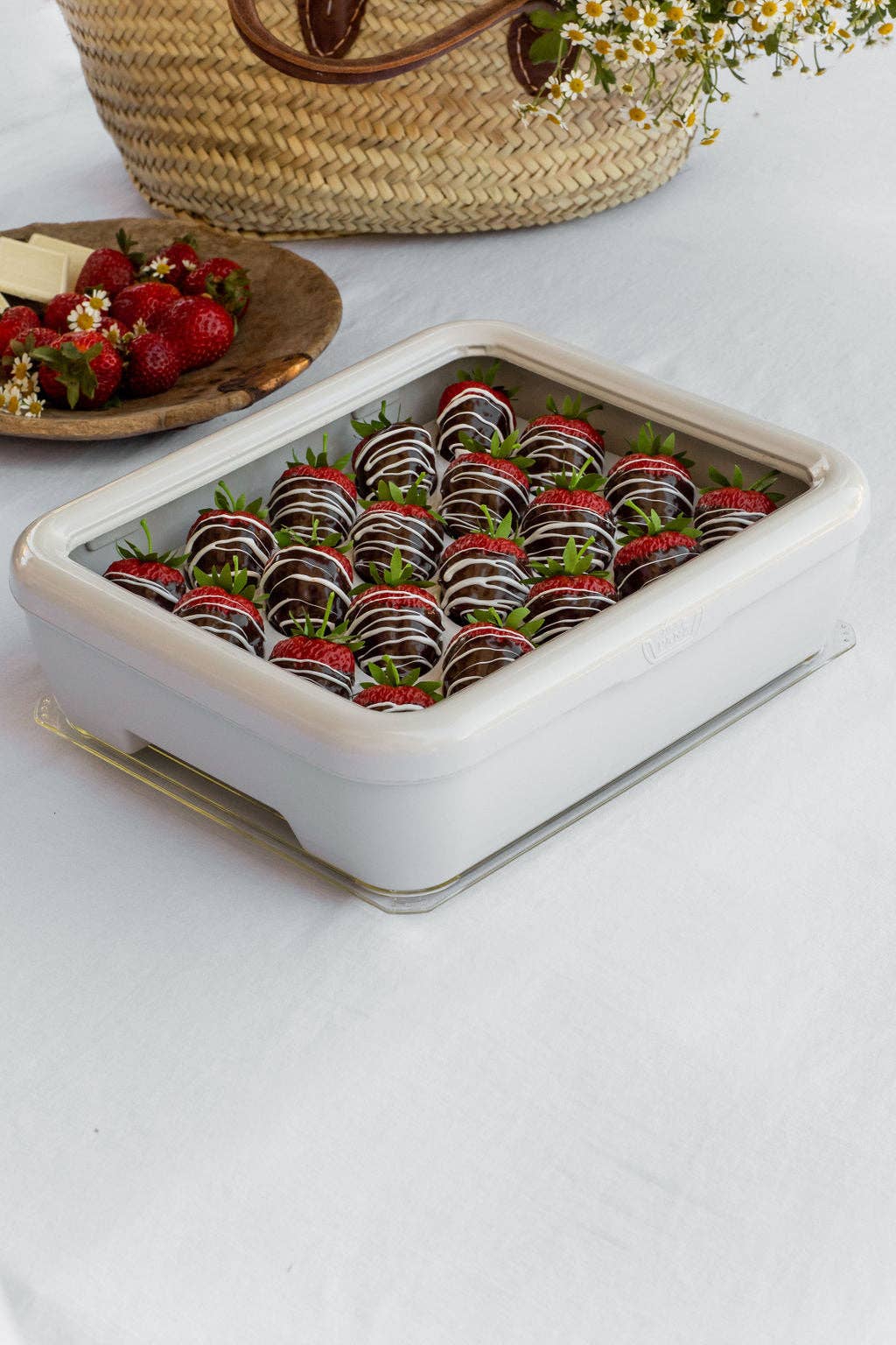 Fancy Panz - Deviled Egg Trayz Insert for Fancy Panz