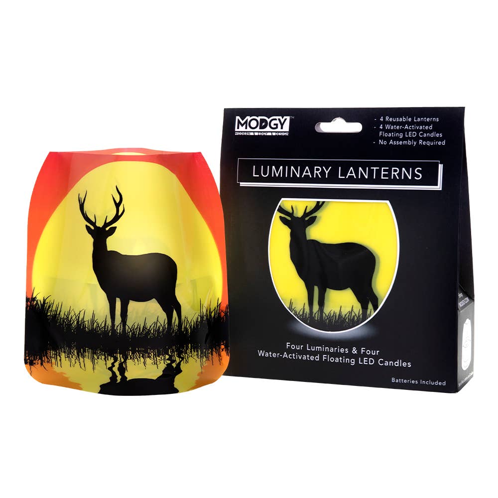Modgy - Bucky - Deer